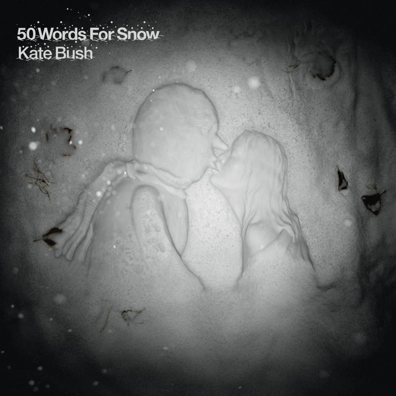 50 Words for Snow (Vinyl)