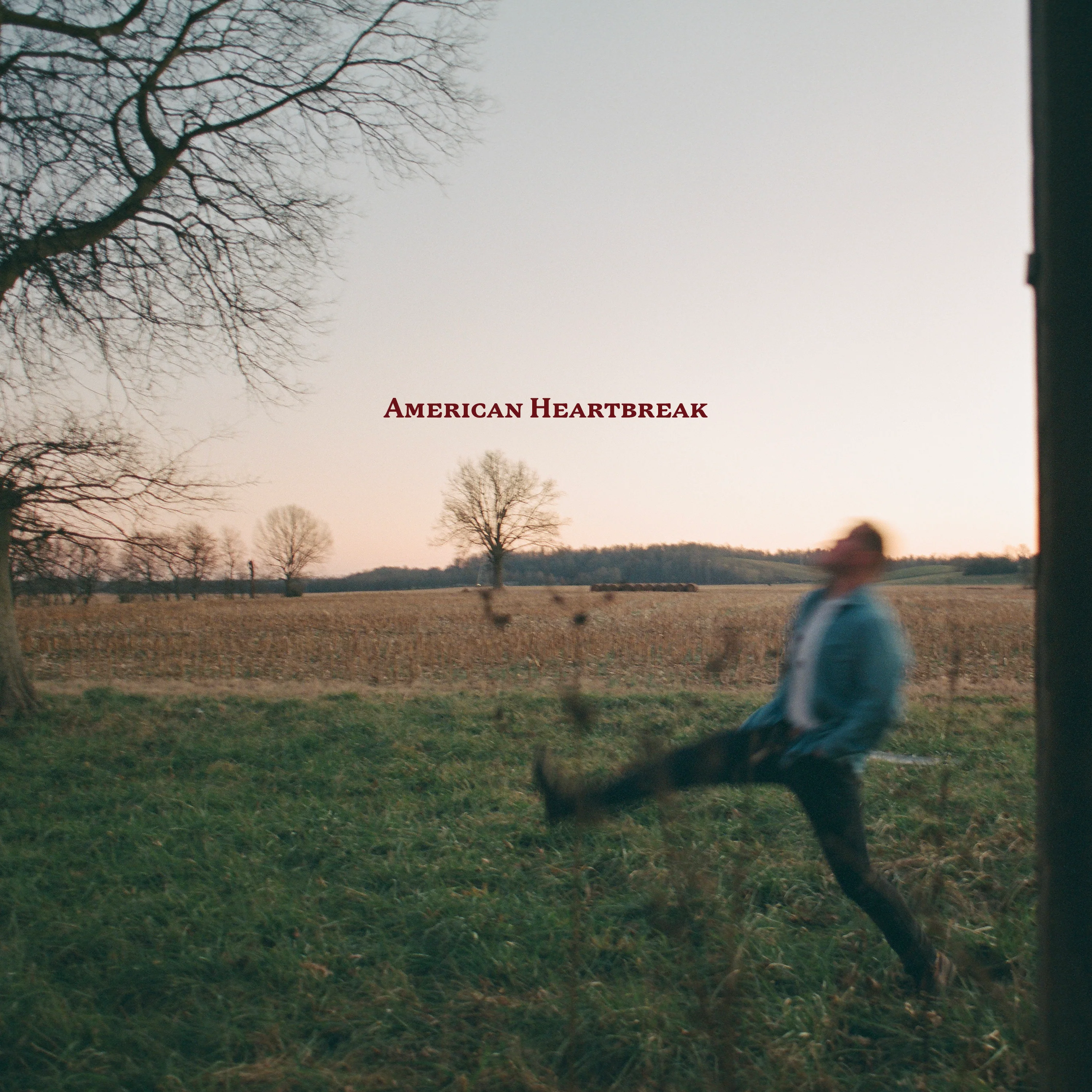 American Heartbreak CD