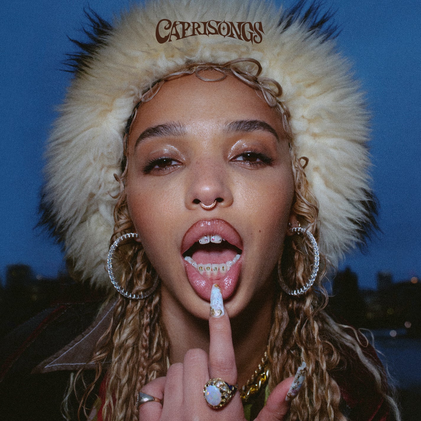 CAPRISONGS Vinyl