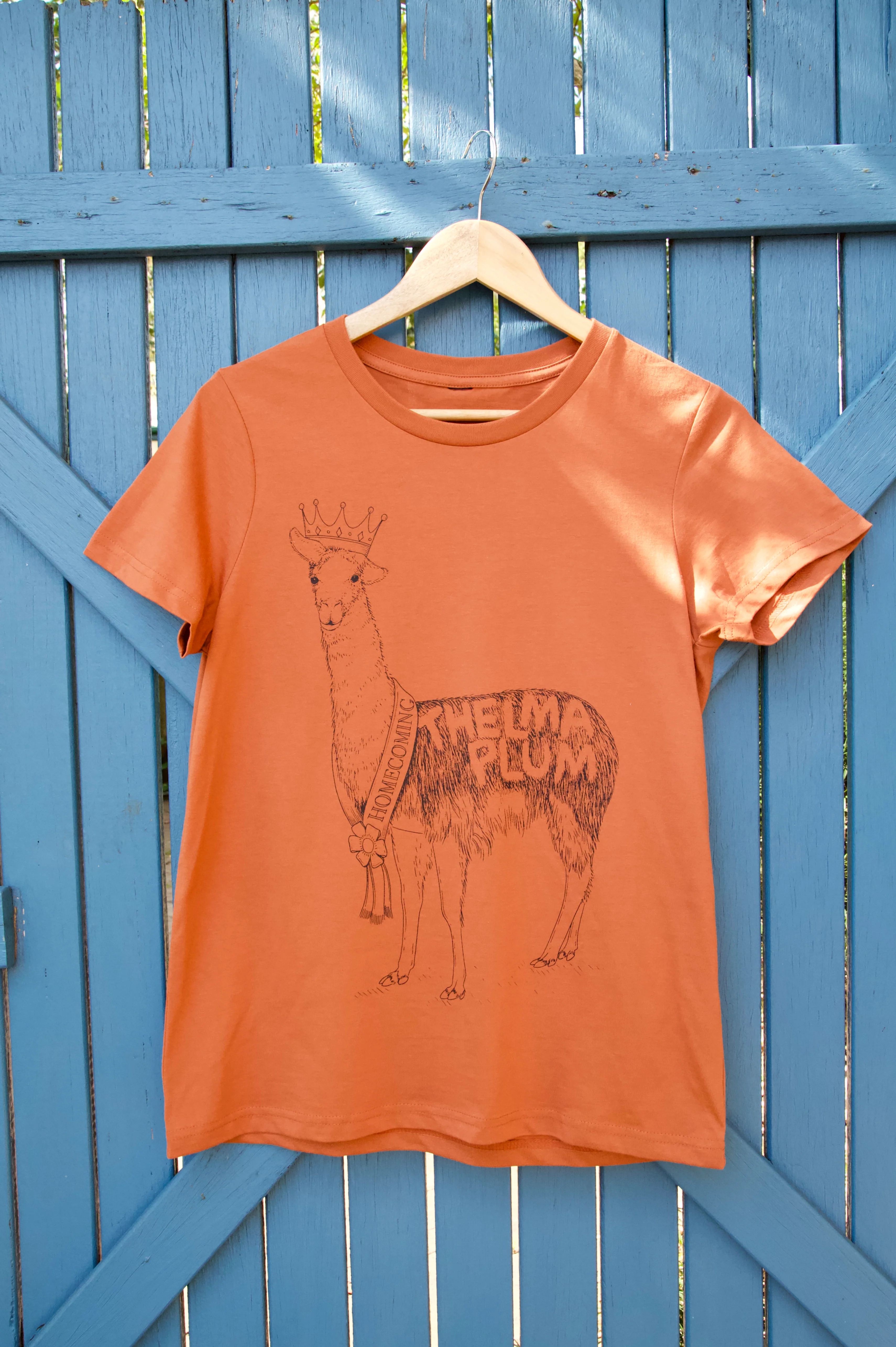Copper Homecoming Llama