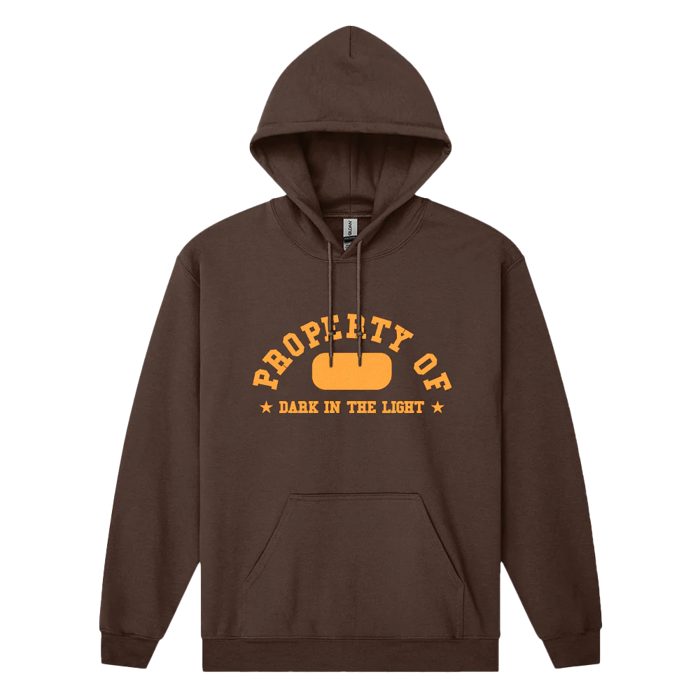 Dark In The Light Hoodie
