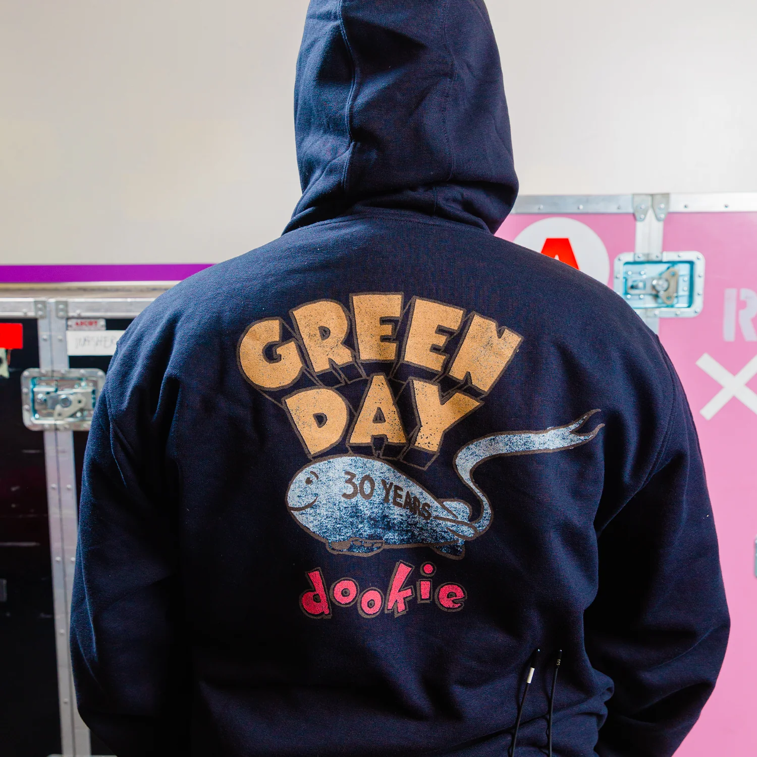 Dickies x Green Day Bad Year Blimp Water Repellent Hoodie - Image 3