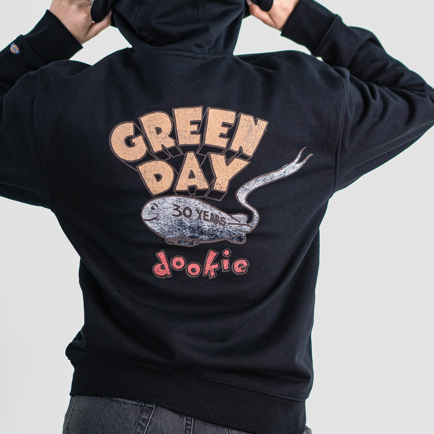 Dickies x Green Day Bad Year Blimp Water Repellent Hoodie - Image 4