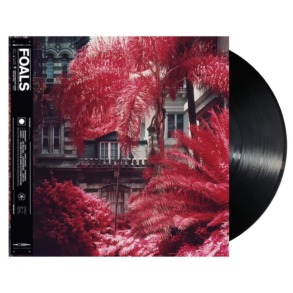Everything Not Saved Will Be Lost Part 1 - Vinyl