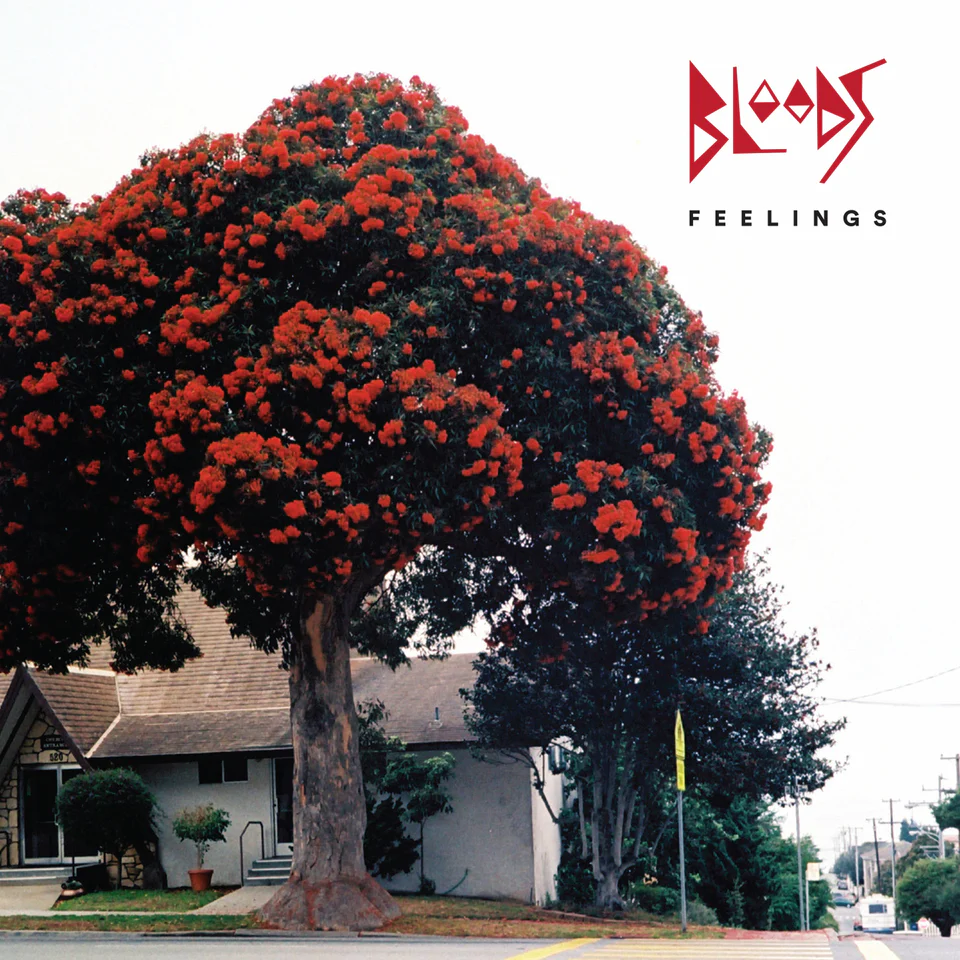 Feelings (Vinyl)