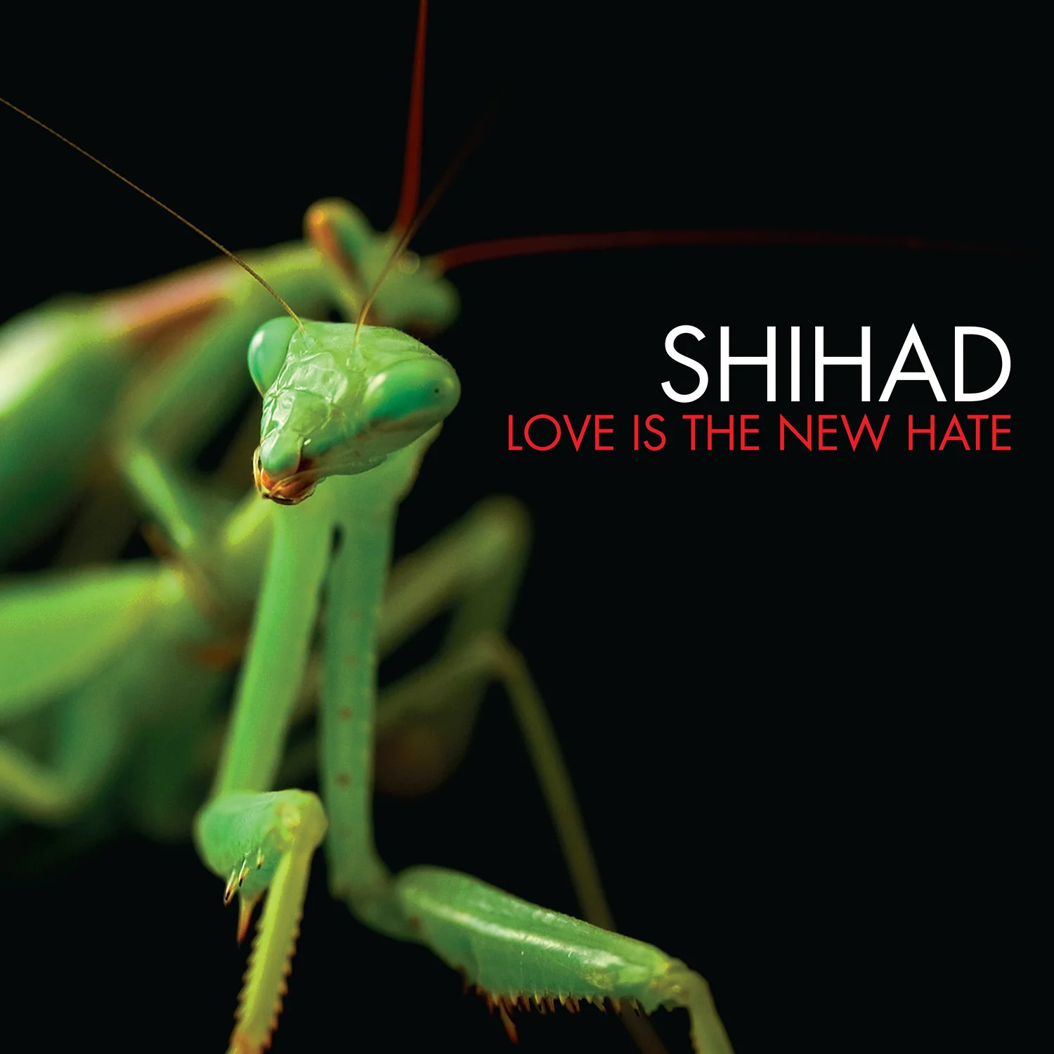 Love Is The New Hate (CD) - Image 2