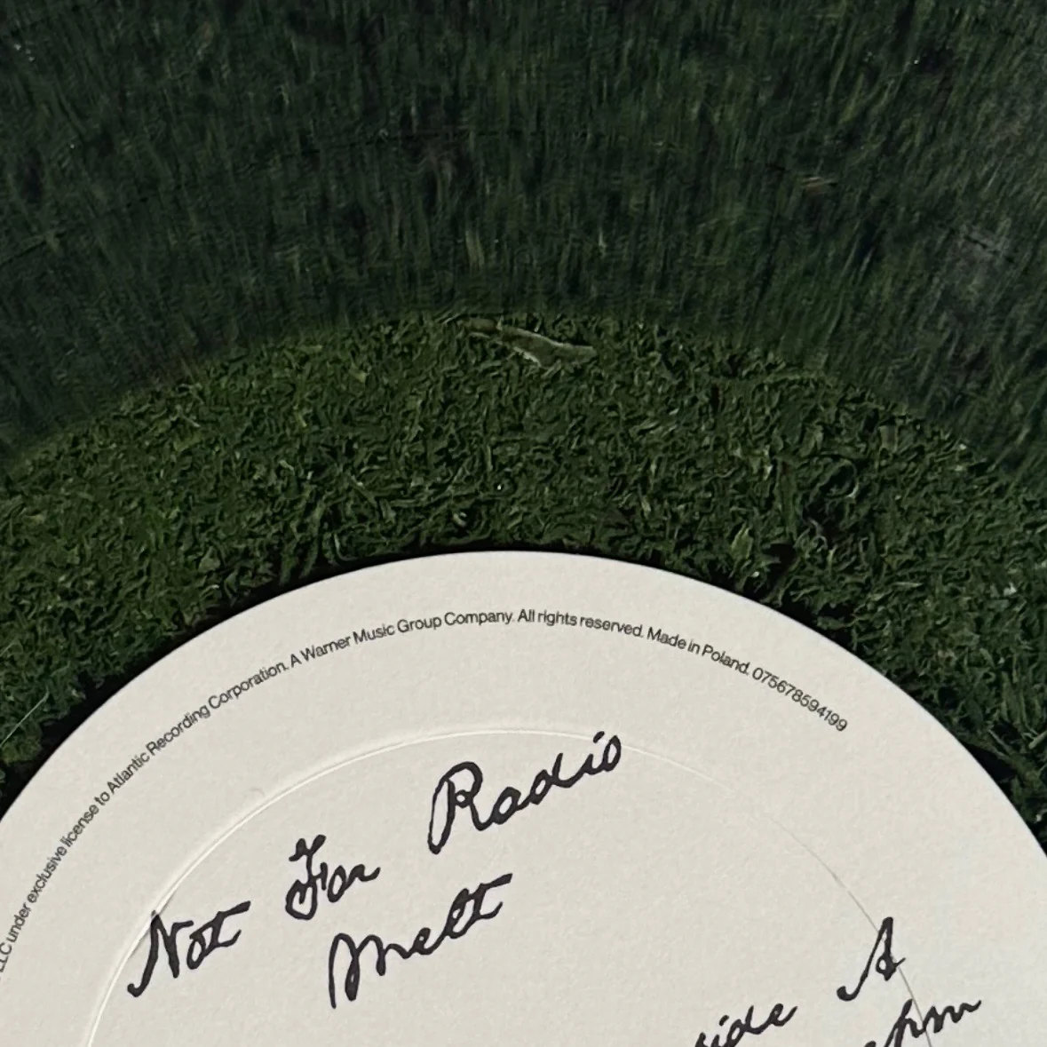 Melt - pressed moss vinyl (limited edition) - Image 3
