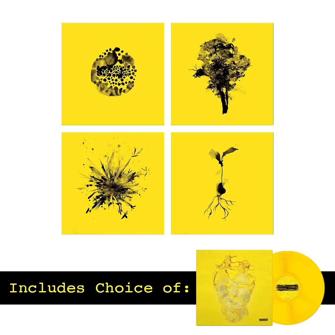 Subtract Print Set + Album Bundle