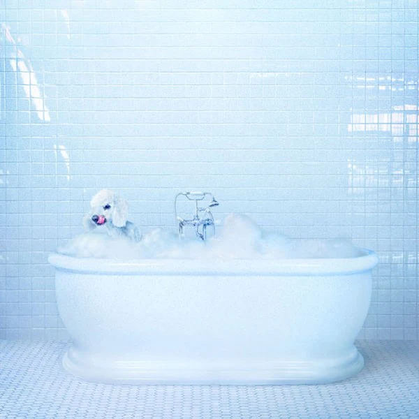 Vessel (Vinyl)