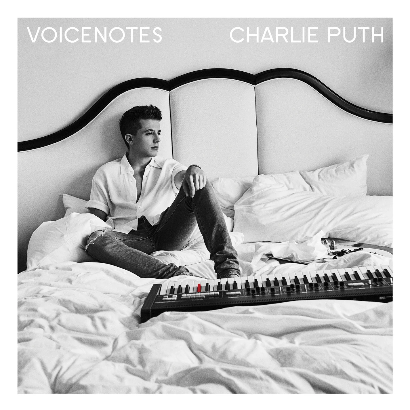 VoiceNotes CD